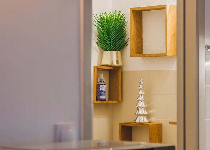 Le Flocon Dore Cauterets