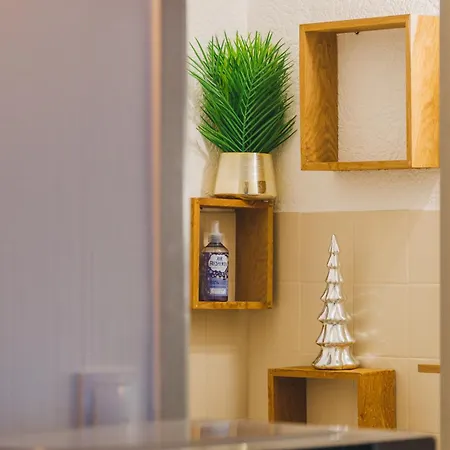 Le Flocon Dore Cauterets